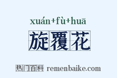旋覆花是什么意思的图片